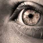 5544254652_025ab19132